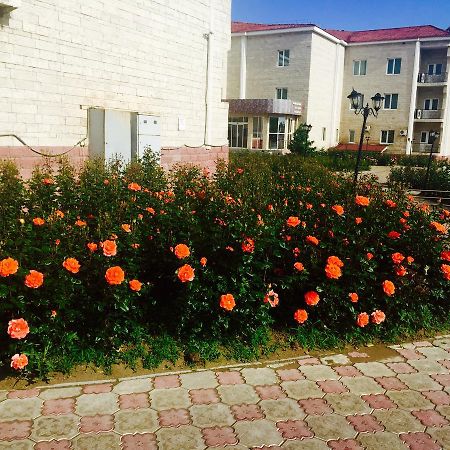 Hotel Ark Ms Taraz Luaran gambar