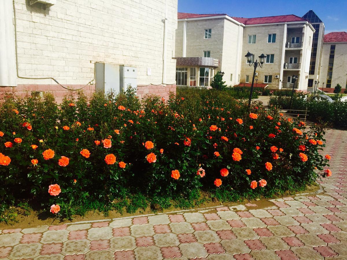 Hotel Ark Ms Taraz Luaran gambar