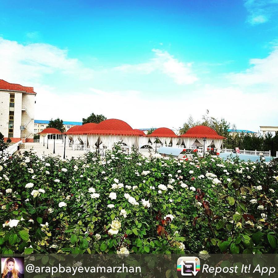 Hotel Ark Ms Taraz Luaran gambar
